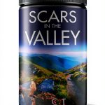 Kindle Store Book 2 of 5 A Sapphire Valley Mystery-0