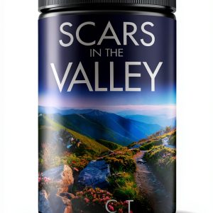 Kindle Store Book 2 of 5 A Sapphire Valley Mystery-0